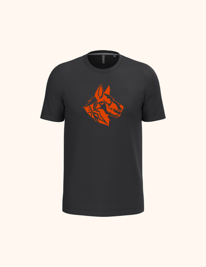 MOLOSSE - Collection Halloween