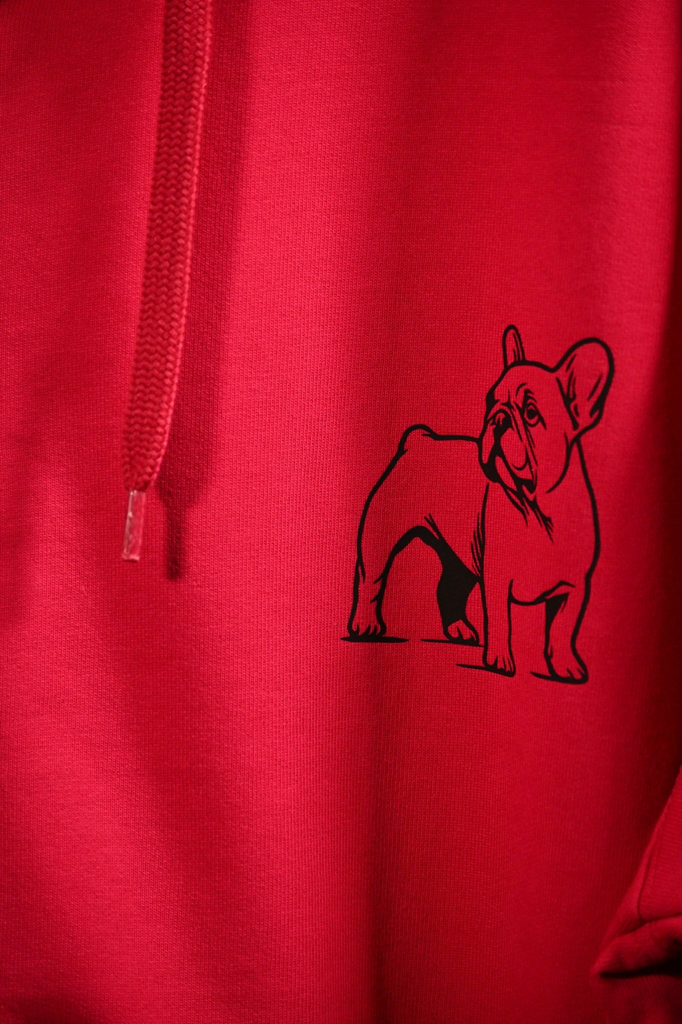 Sweat capuche - Femme