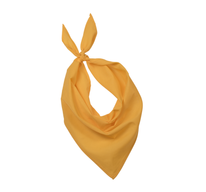 Bandana